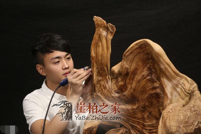 长在悬崖边的就一定是崖柏吗?-1