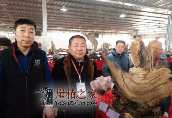 河南新乡崖柏展,精品崖柏不断成交-1