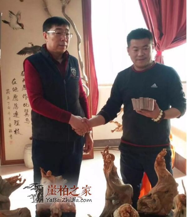 河南新乡崖柏展,精品崖柏不断成交-3