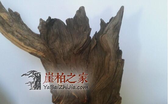 什么是崖柏落崖料?-2