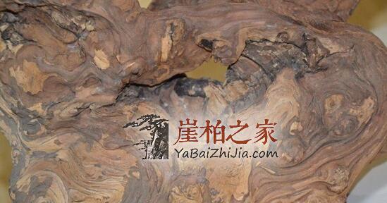 什么是崖柏落崖料?-3