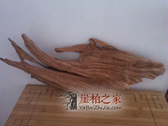 崖柏陈化料是什么意思?