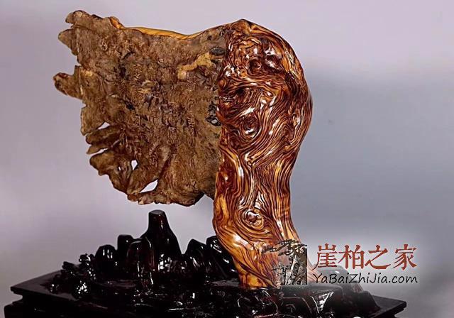 崖柏价格三、四年内竟然翻百倍?是炒作还是崖柏魅力所致-3