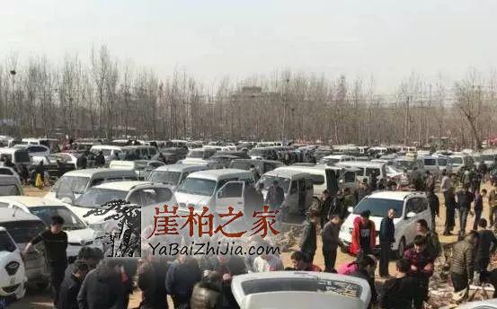 崖柏价格三、四年内竟然翻百倍?是炒作还是崖柏魅力所致-6