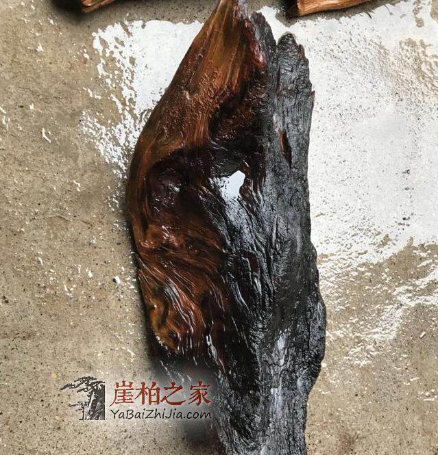 什么是崖柏雷击木?为你揭开崖柏雷击木的神秘面纱-2