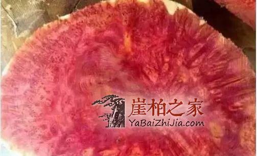 这5种“崖柏”是假货,柏友们一定要谨慎!-5