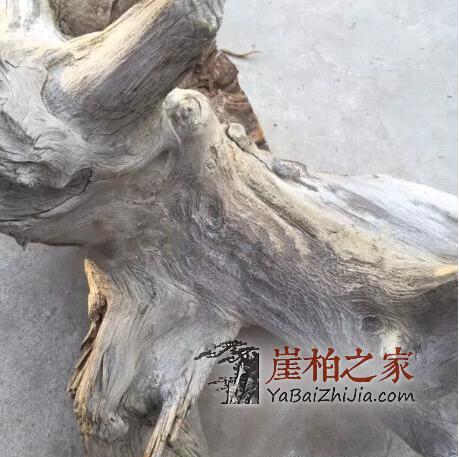 做崖柏手串该如何选料?别急,崖柏之家教你-2