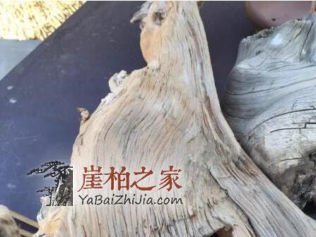 做崖柏手串该如何选料?别急,崖柏之家教你-4