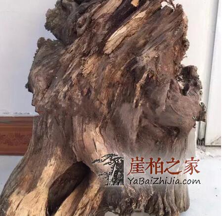 做崖柏手串该如何选料?别急,崖柏之家教你-5