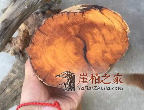 做崖柏手串该如何选料?别急,崖柏之家教你-6