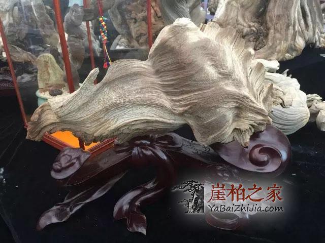 崖柏的“油性”决定了崖柏的品质-3