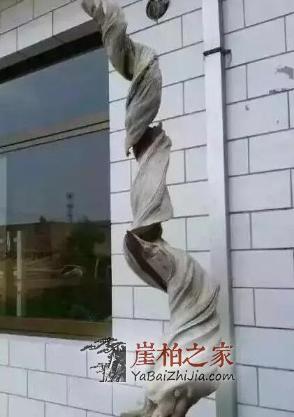 干货:崖柏开裂的原因以及崖柏开裂修复小技巧-4