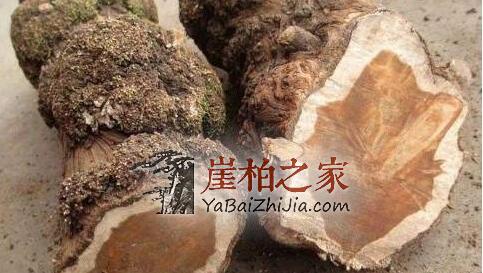 崖柏收藏不简单,一不小心就会买到土柏、坡柏!-7