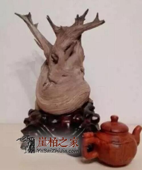 2018年崖柏行情:精品难求,价格攀高-2