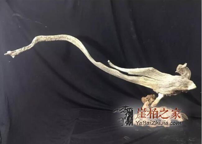 玩崖柏可不简单,这里面的道道可深着呢!-1