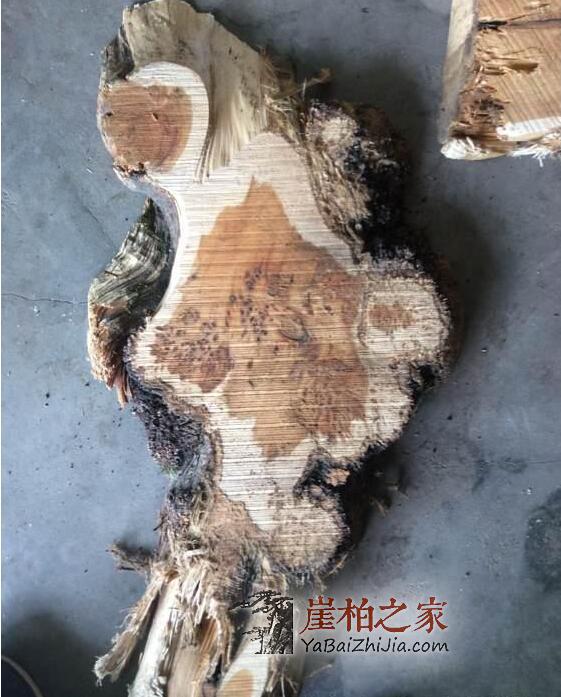 深度剖析崖柏生料老料陈化料,看完你就明白了!-4