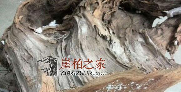 深度剖析崖柏生料老料陈化料,看完你就明白了!-5