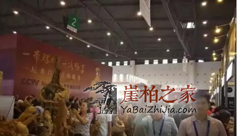 26.8万崖柏落地成交,2018年崖柏火热程度依然高涨!-1