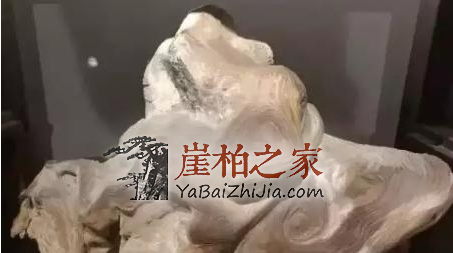 26.8万崖柏落地成交,2018年崖柏火热程度依然高涨!-6