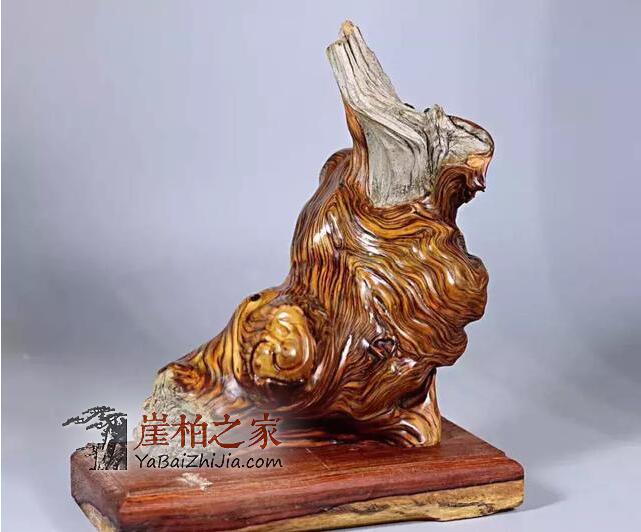 “以玩养玩”,这是玩赚崖柏的最好方式!-1