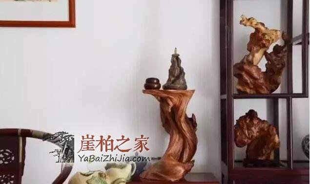 “以玩养玩”,这是玩赚崖柏的最好方式!-3