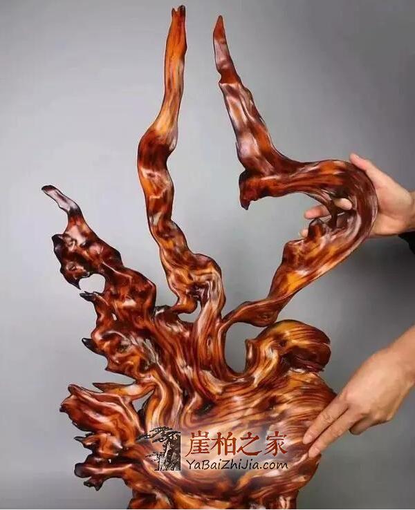 “以玩养玩”,这是玩赚崖柏的最好方式!-5