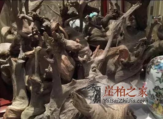 崖柏在不知不觉中竟成了人们“炫富”的资本!-3