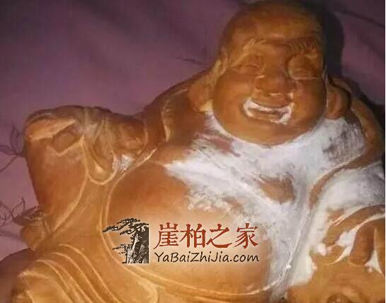 回南天到了,崖柏长毛怎么办?-2