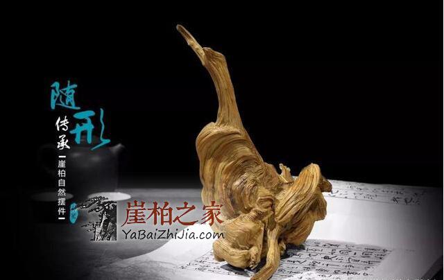 崖柏根雕和崖柏根艺的选材标准有什么不同?-3