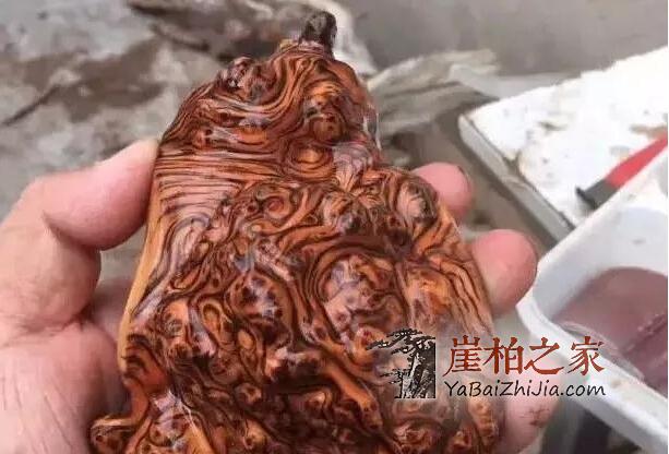这年头,再不收藏一件崖柏就晚了!-1