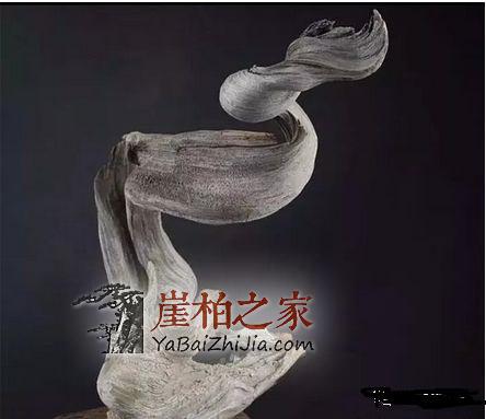 什么是崖柏?这是我见过最好的回答!-4