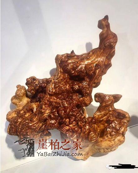 什么是崖柏?这是我见过最好的回答!-6