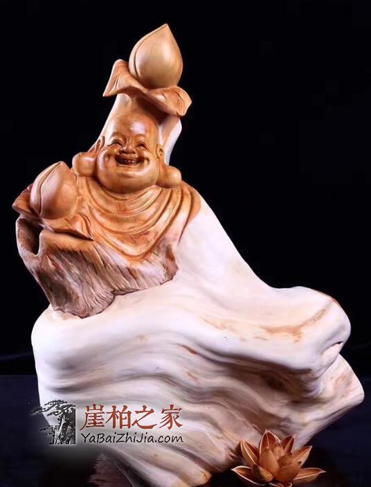 关于崖柏的误区,看看资深专家怎么说-3