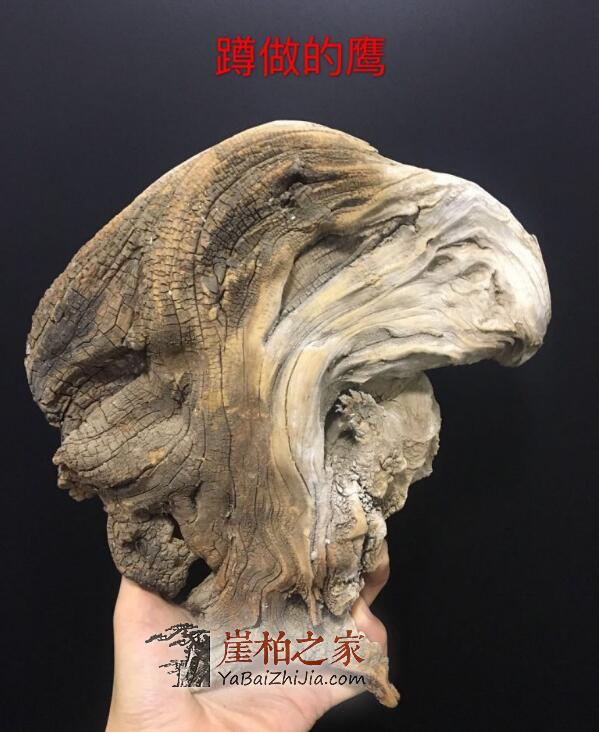 现实业态下我们还能继续收藏崖柏吗?-3