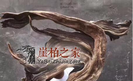 “崖柏万千,型料为王”,崖柏象形料极具收藏价值!-2