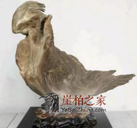 “崖柏万千,型料为王”,崖柏象形料极具收藏价值!-3