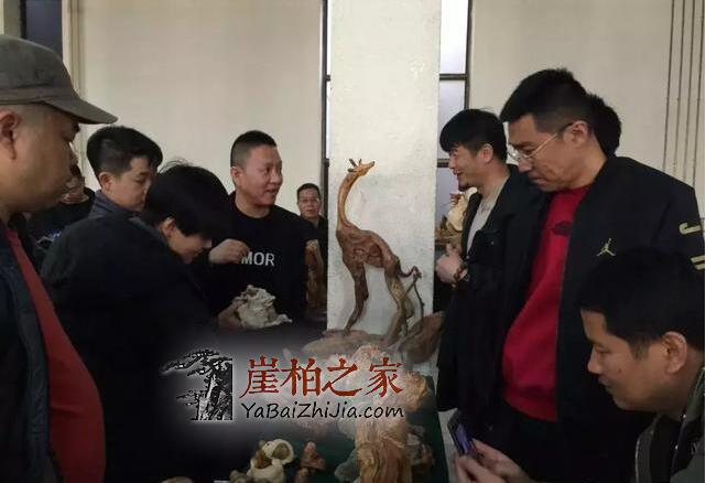 太原崖柏展爆26万后,崖柏未来走向如何?-3