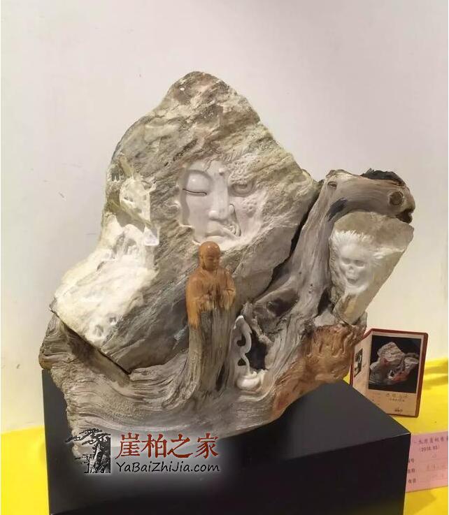 太原崖柏展爆26万后,崖柏未来走向如何?-6