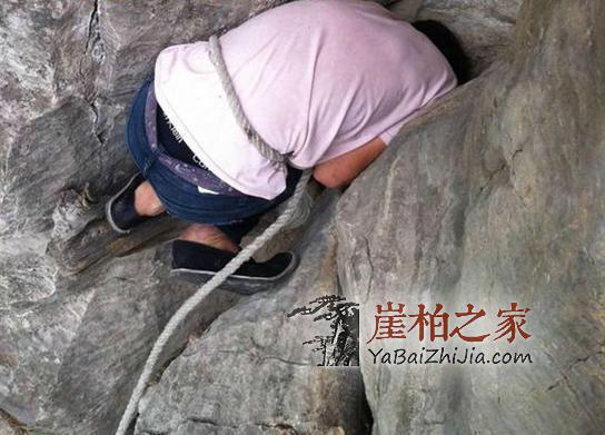 图文直播,在悬崖缝隙中挖天价崖柏的村民-2
