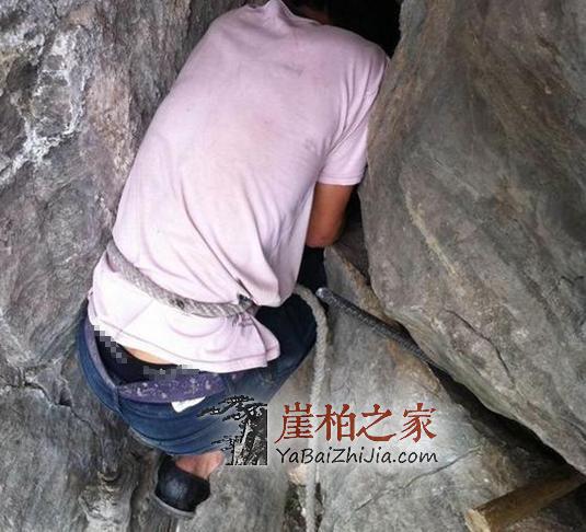 图文直播,在悬崖缝隙中挖天价崖柏的村民-4