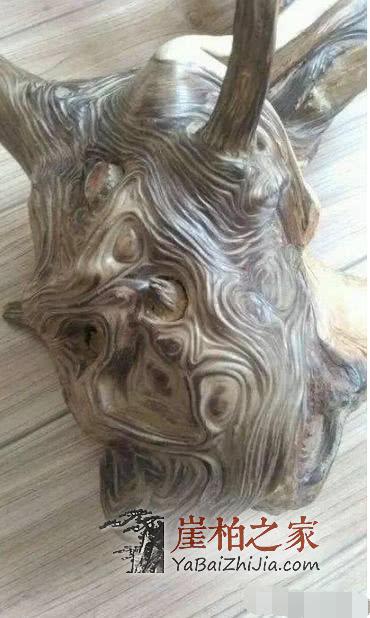 崖柏各种皮质打磨大比拼!-4