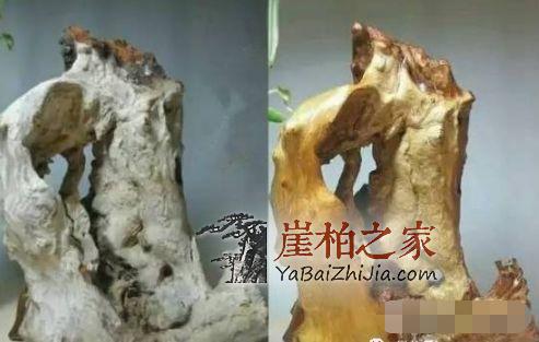 崖柏各种皮质打磨大比拼!-7