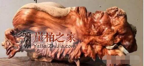 崖柏各种皮质打磨大比拼!-14