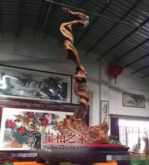崖柏各种皮质打磨大比拼!-9