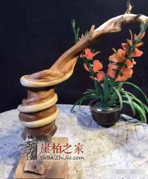崖柏各种皮质打磨大比拼!-10