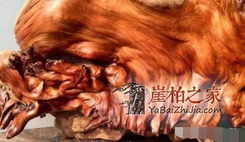 崖柏各种皮质打磨大比拼!-15