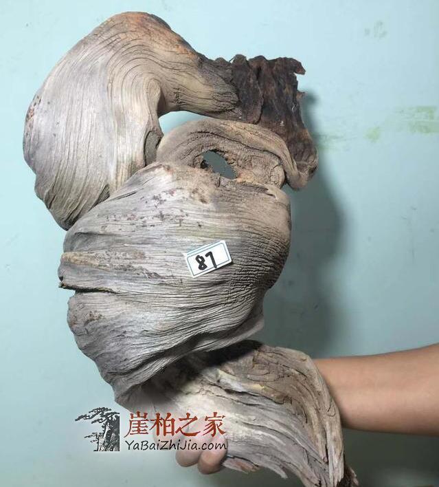 玩崖柏如何挑选毛料?看完这篇文章不再纠结!-2