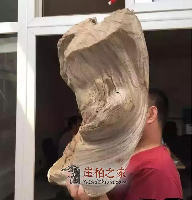 玩崖柏如何挑选毛料?看完这篇文章不再纠结!-3