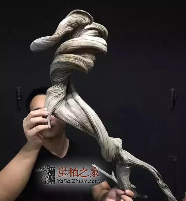 玩崖柏如何挑选毛料?看完这篇文章不再纠结!-6