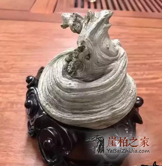 玩崖柏如何挑选毛料?看完这篇文章不再纠结!-9